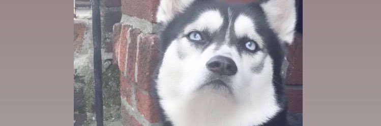 reidsintern's profile banner image