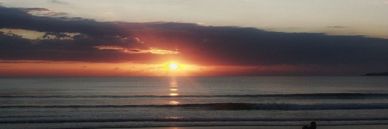 lenzi001's profile banner image