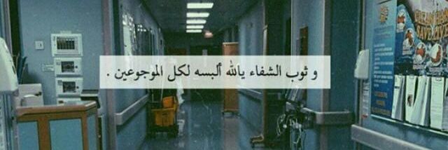 فراشة الوادي banner