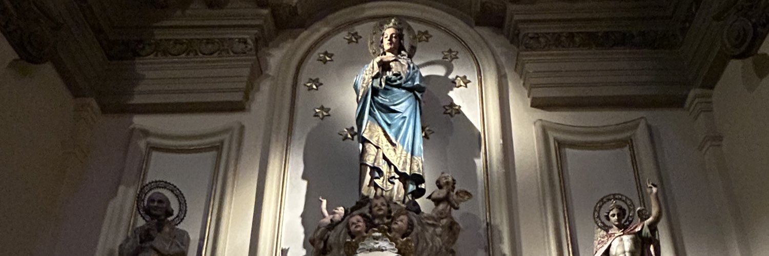Manuel Puig banner