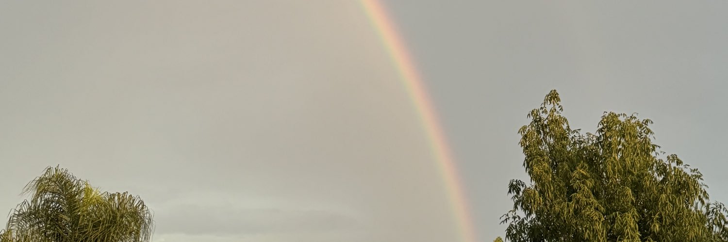 RealitysTeamMex's profile banner image