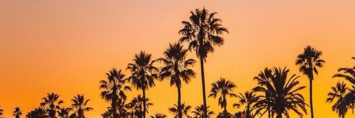 Anas banner