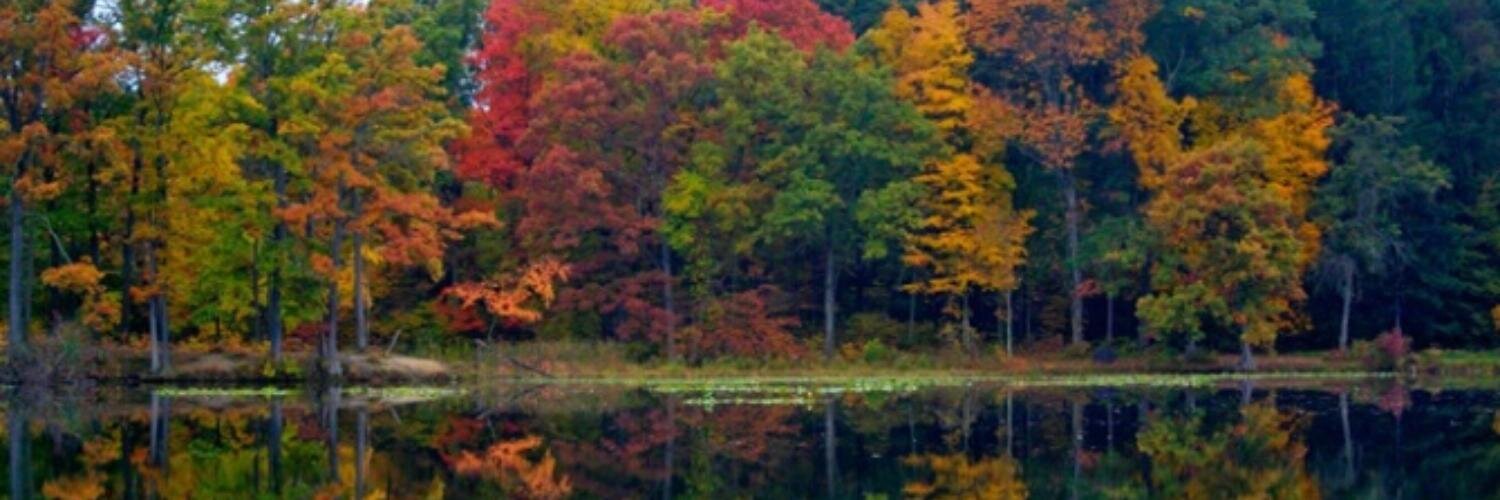 JenKon03's profile banner image