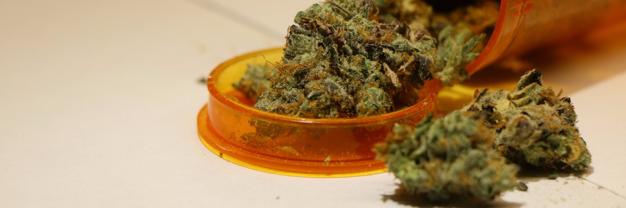 FunkyUncle420's profile banner image