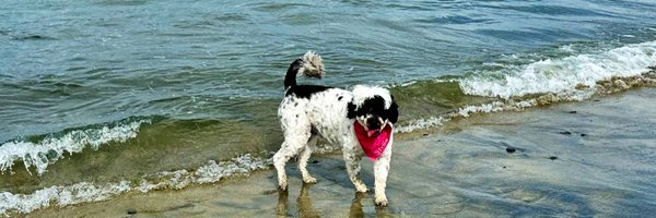 KristaFagan Profile Banner