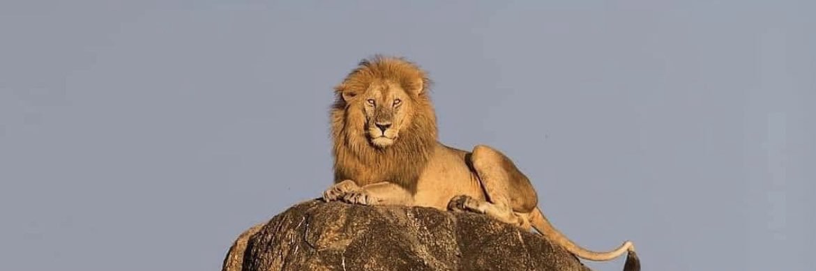 AfroMasculinity's profile banner image