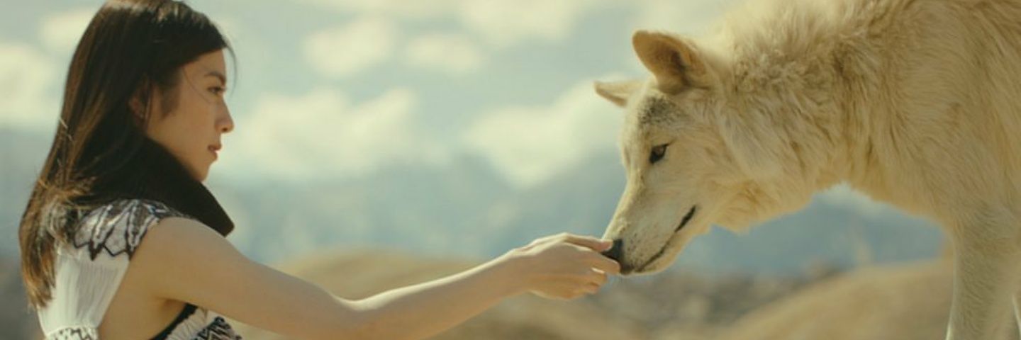 iei_blue's profile banner image