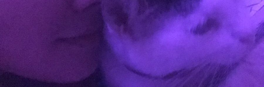 yesitsgabriel's profile banner image
