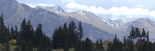 explorative Profile Banner