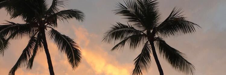 MaddyC1313's profile banner image