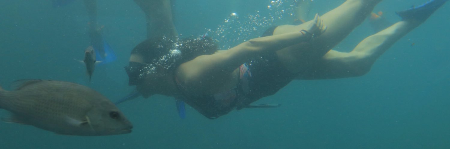carla_dra's profile banner image