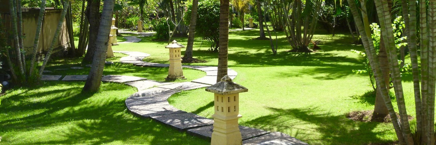 Meredithe Mainquist banner