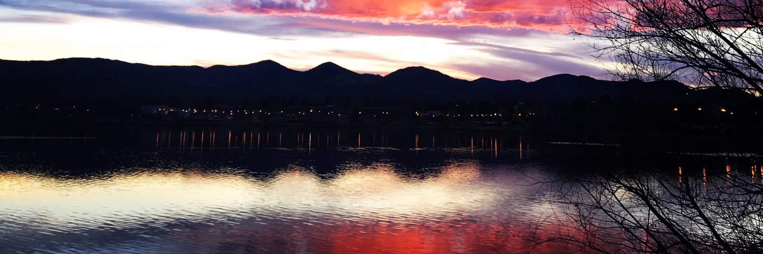 lynniemerritt's profile banner image