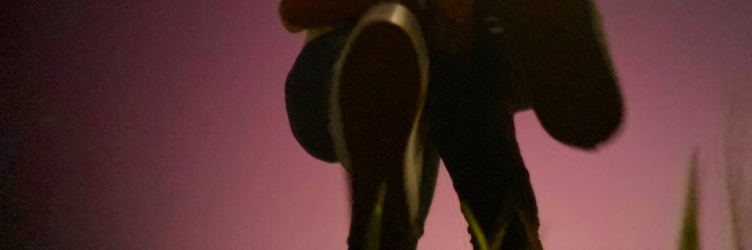 roxylizeth_'s profile banner image