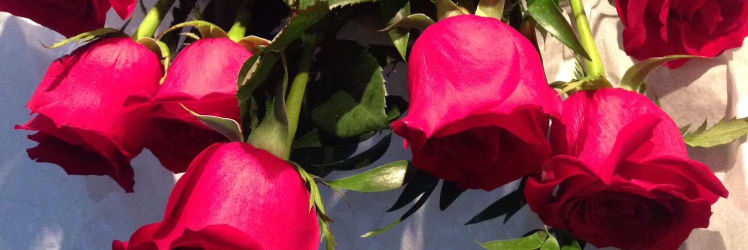 AnaisSanson's profile banner image
