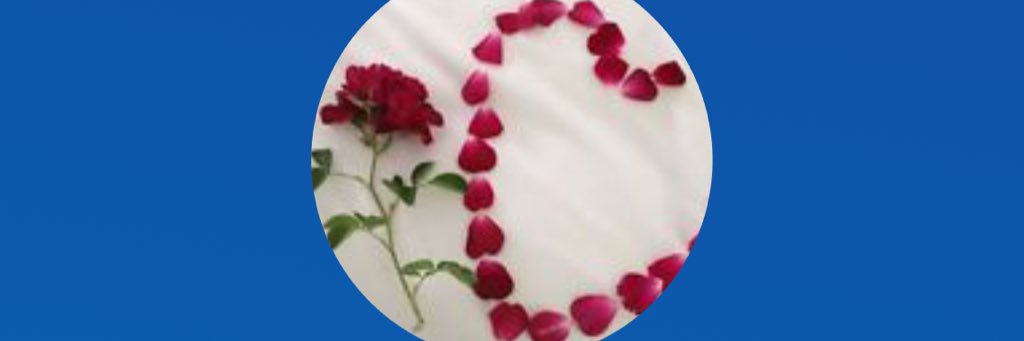 LMS Domestic Violence #ItsNotOk💥 banner