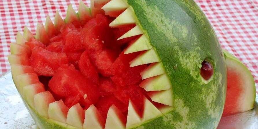 watermelon101 banner