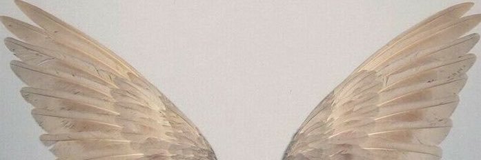 bcntemps's profile banner image