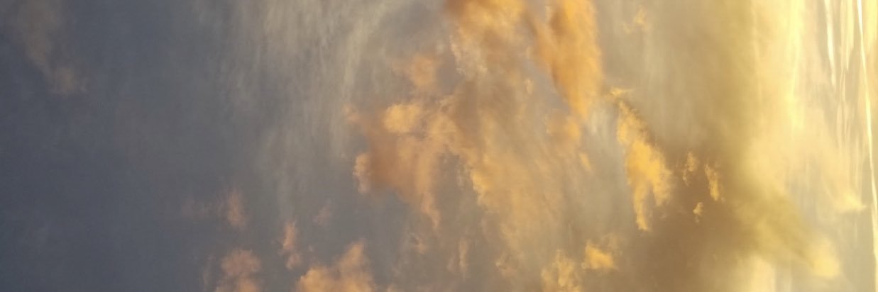 codihtubbs's profile banner image