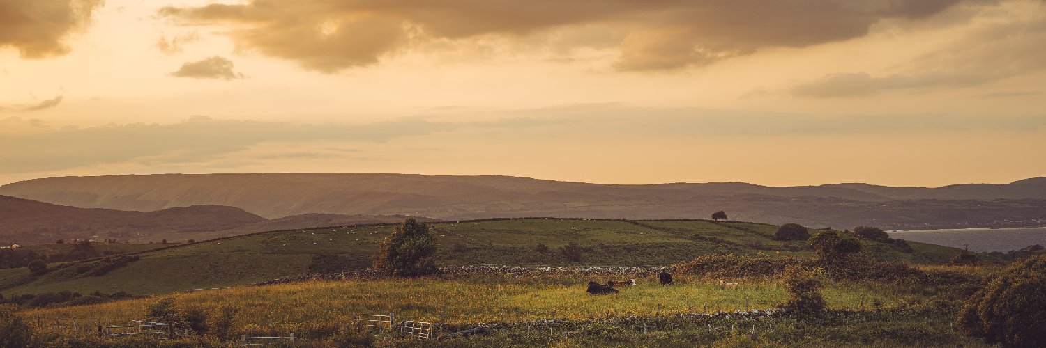 stiegeler's profile banner image