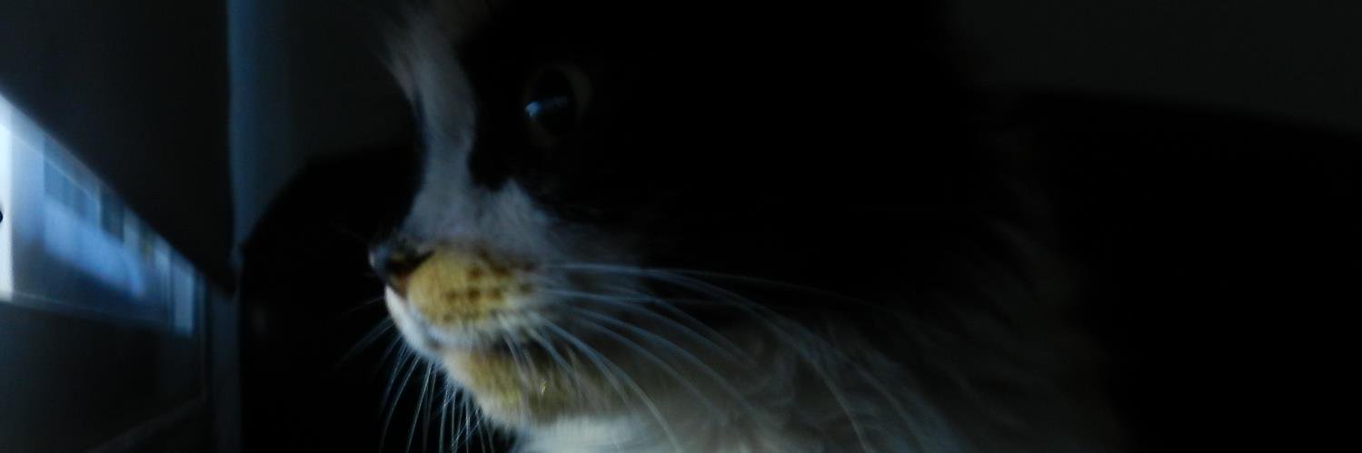 AndreVsqz's profile banner image