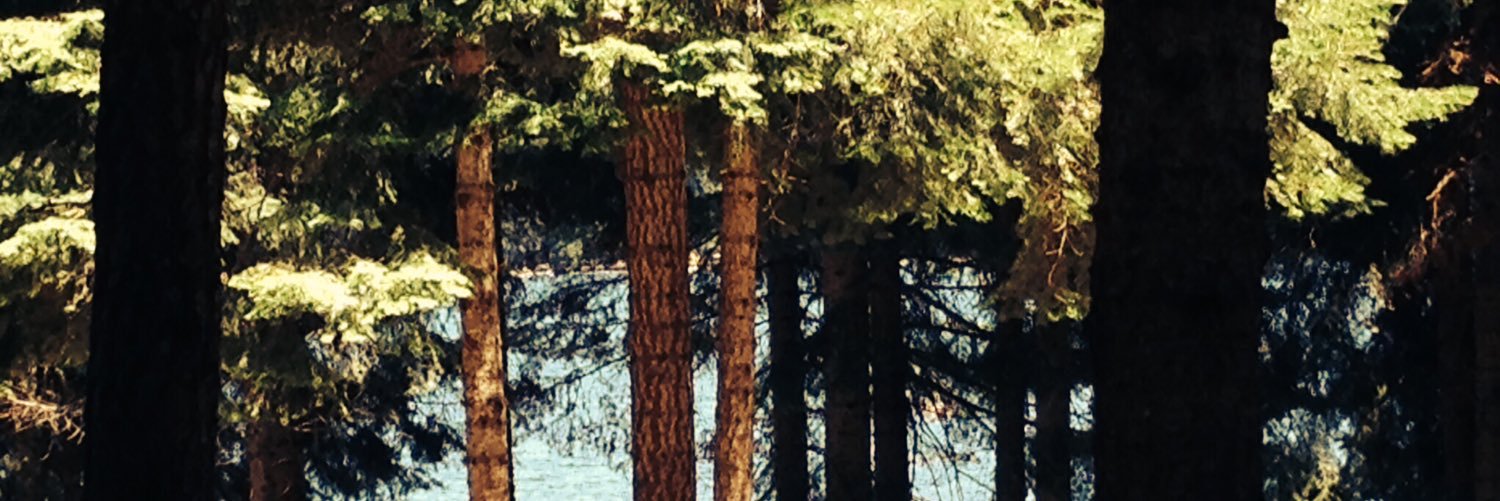 BSedivec's profile banner image
