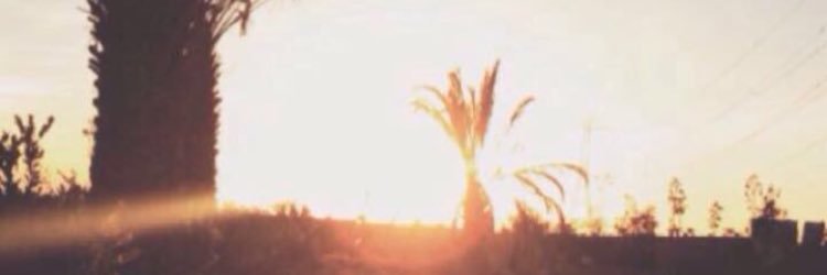 mkg2_y's profile banner image