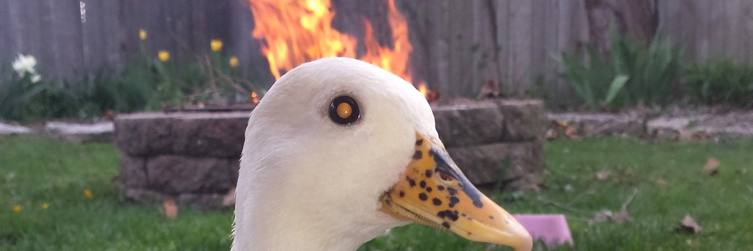 yaced__'s profile banner image