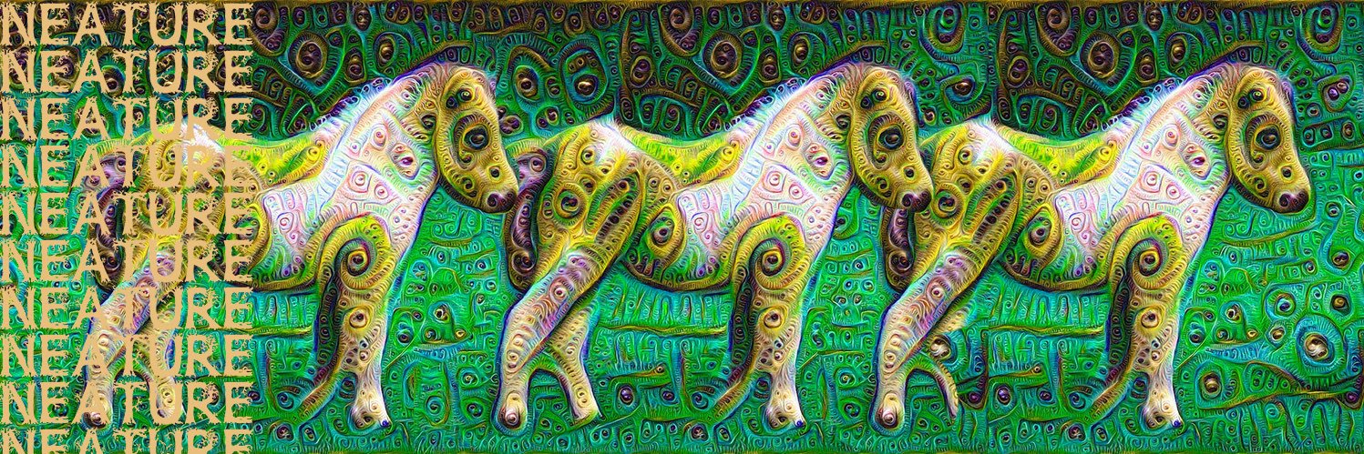 Neature_'s profile banner image