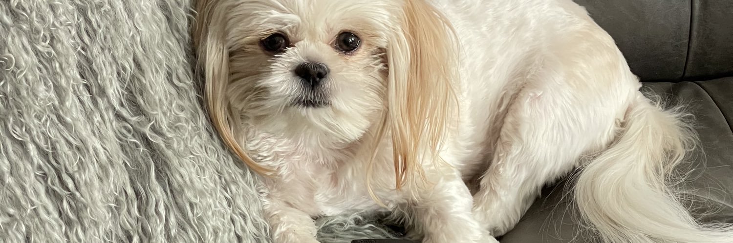 jillepstein's profile banner image