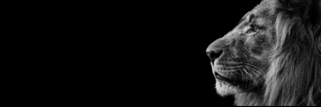 HYB3's profile banner image