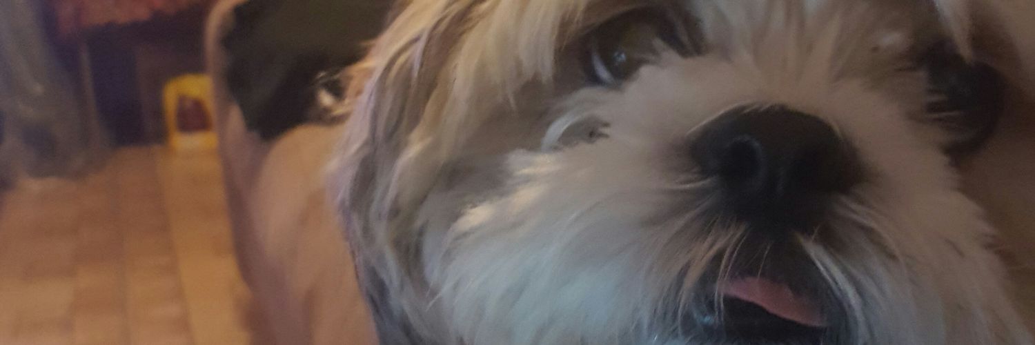 TheKayCorinne's profile banner image