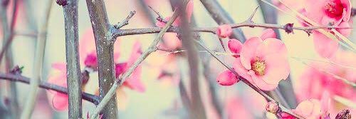 _valeriasolis's profile banner image