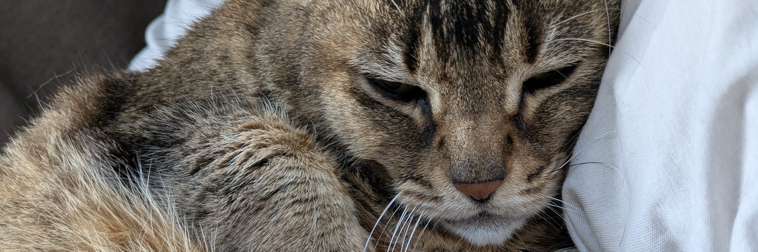 鈴木ふれいにあ banner