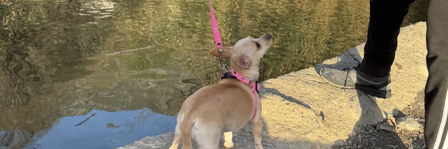 AlejandraLoeraA's profile banner image