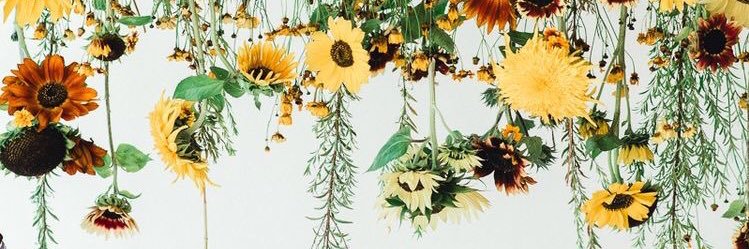 allisonsarna's profile banner image