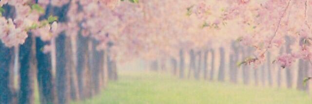 mts8101's profile banner image