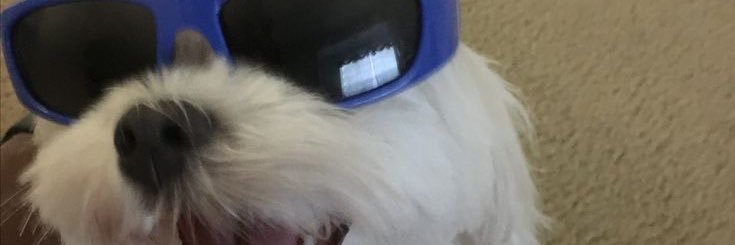 rintubanza's profile banner image