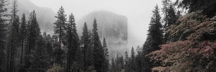 ᛝ banner