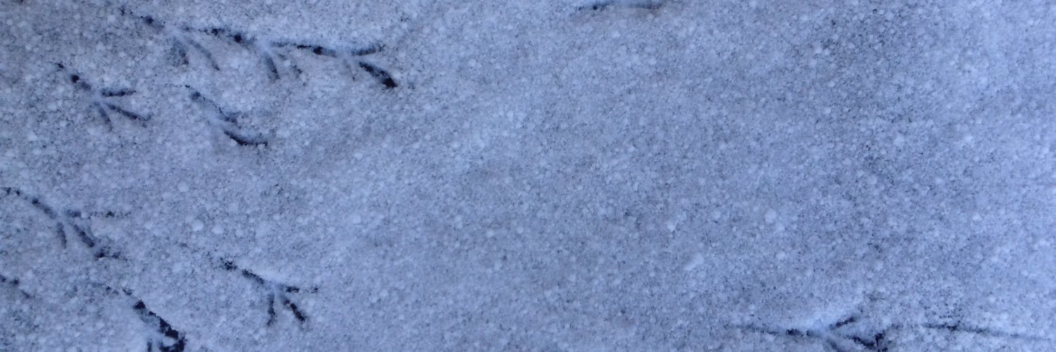 DougJanack's profile banner image