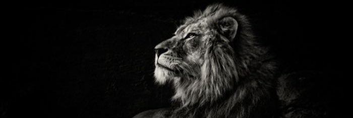 levi_garza's profile banner image