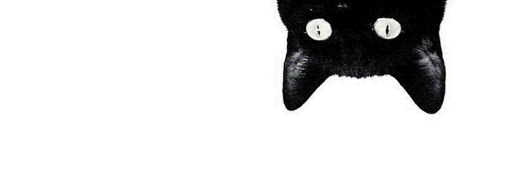 PAM0094's profile banner image