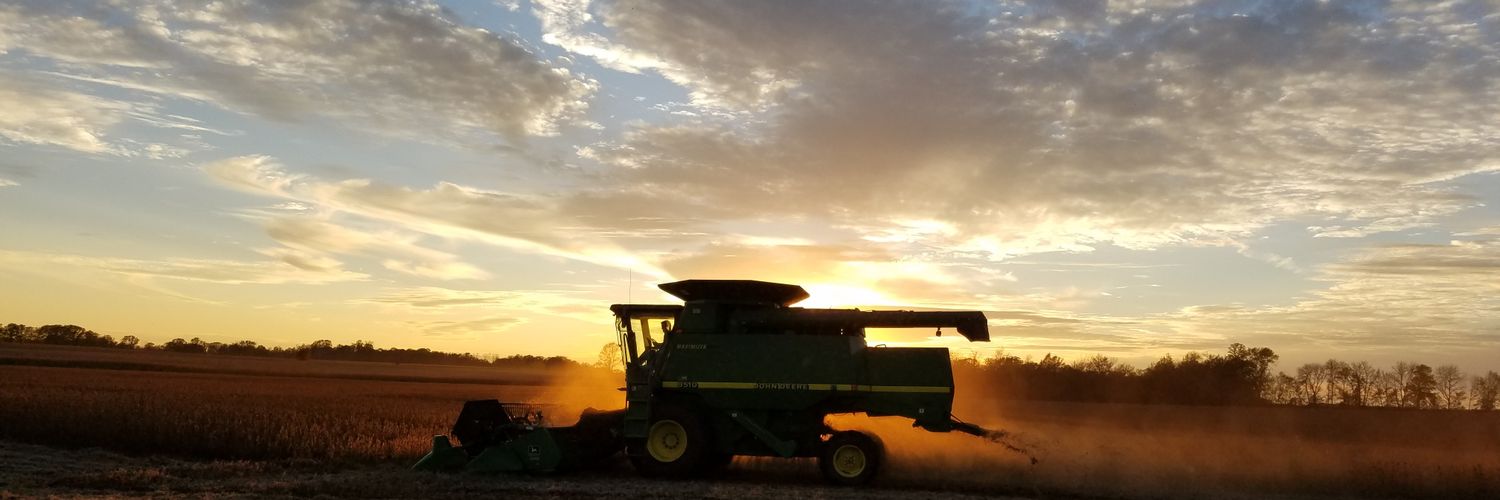 farmerpesta's profile banner image