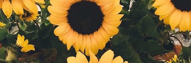 ShawnaaaMarieee's profile banner image