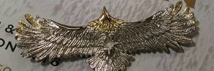 ex_ngi's profile banner image