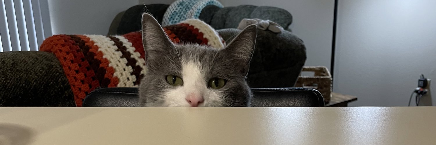 TheMissler's profile banner image