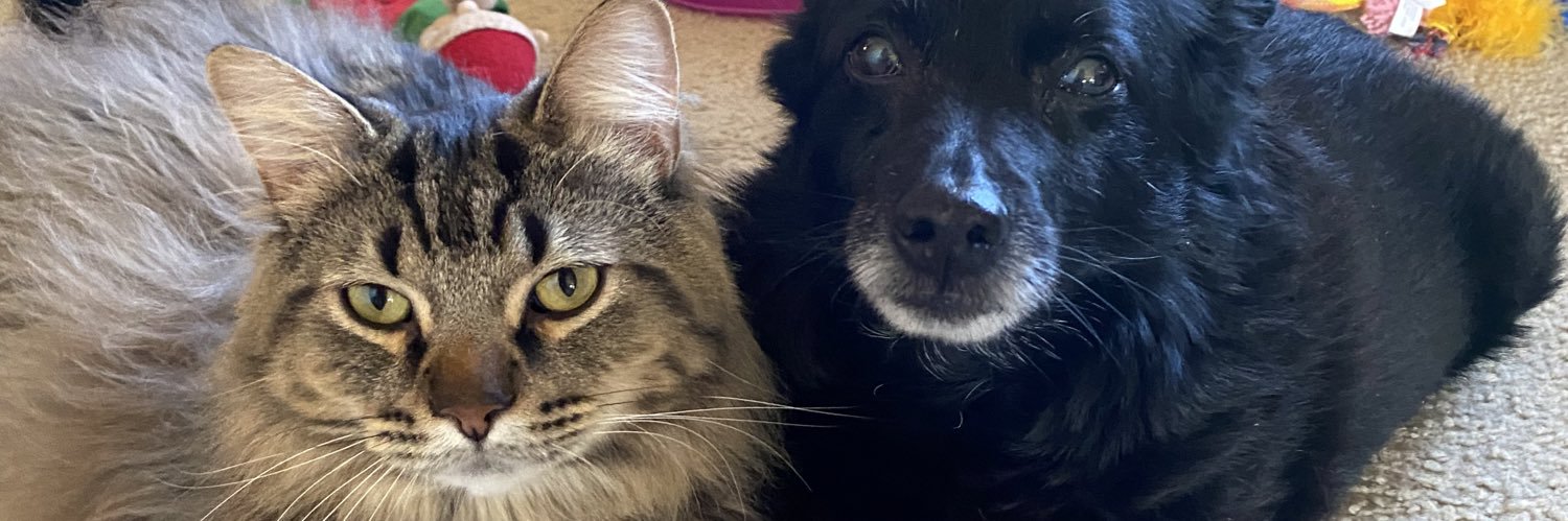 Penny Smith Scott banner