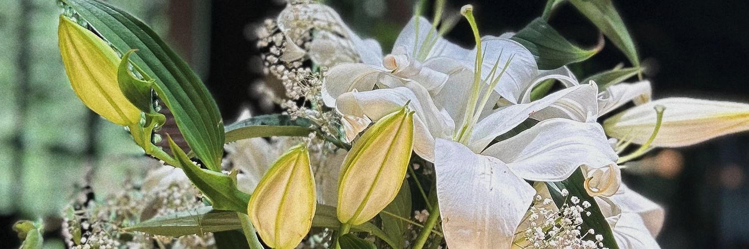 sevgikkavak's profile banner image