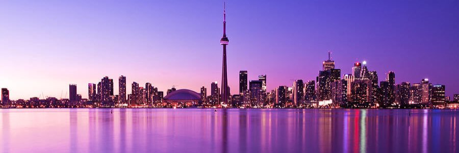 Alysha McLean banner