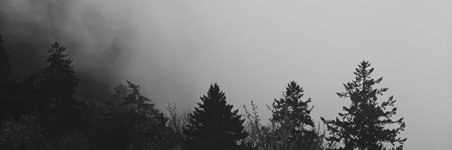 EmersonKennedy4's profile banner image